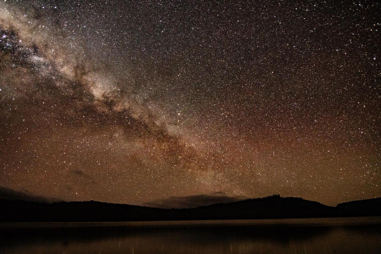 Lake St Clair Lodge Dış mekan fotoğraf